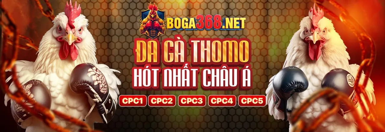 Hình ảnh chính về chiến lược cá cược thể thao 1888bet